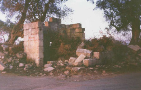 Ruderi della Cunegghra della Madonna di Linzate