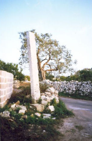 Menhir Curti Ecchi